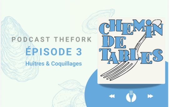 Banner podcast episode 3